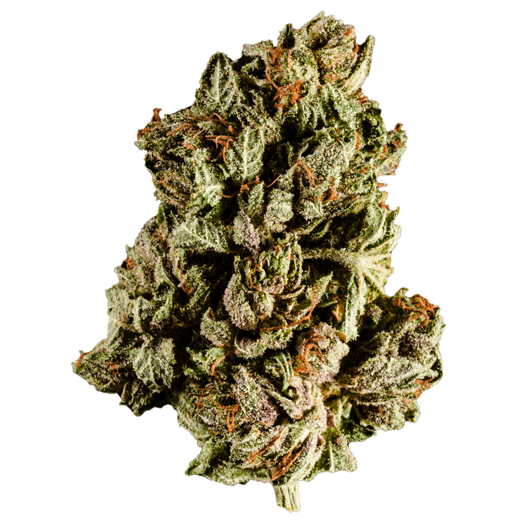 Purple Frost | BC Weed Edible Canada Purple Frost | BC Weed Edible Canada