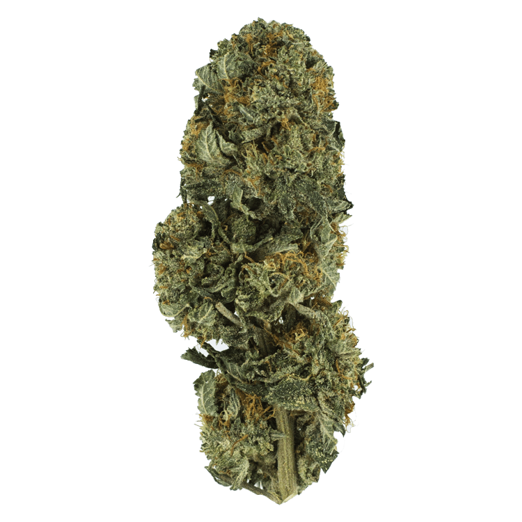 Northern Lights – 1 Ounce | BC Weed Edible Canada Northern Lights – 1 Ounce | BC Weed Edible Canada