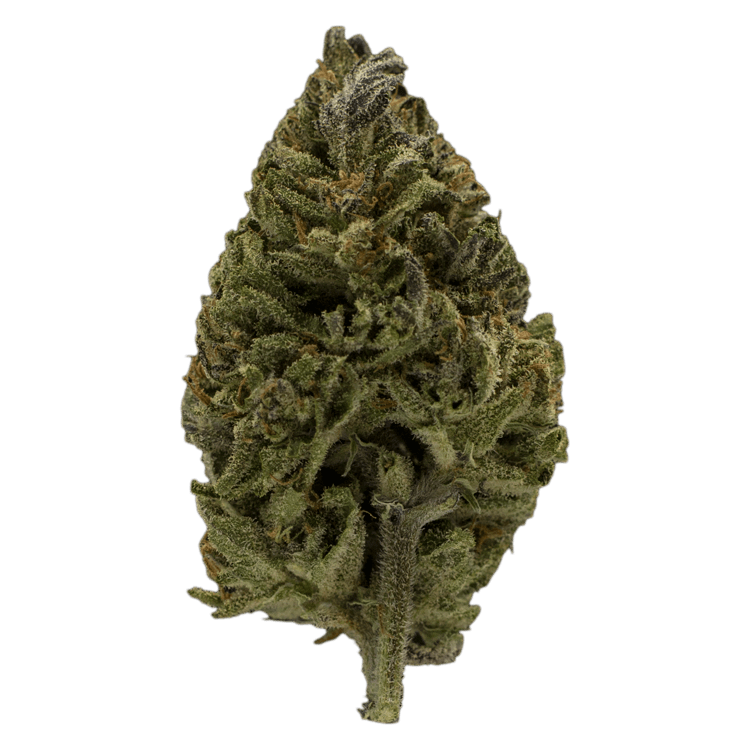 Super Mario GA | BC Weed Edible Canada Super Mario GA | BC Weed Edible Canada