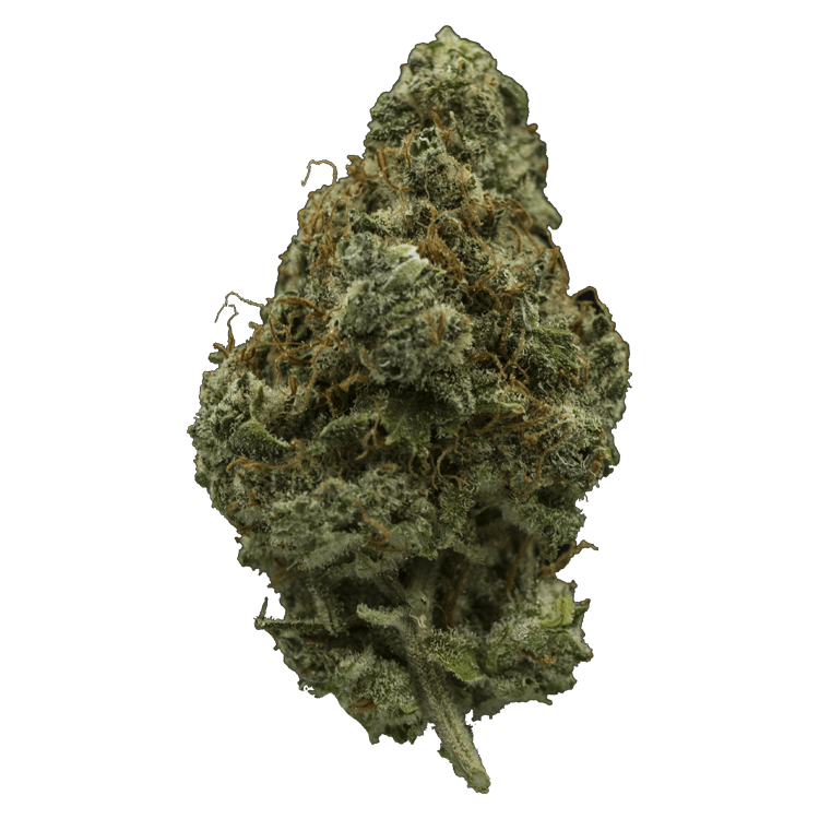 El Fuego | BC Weed Edible Canada El Fuego | BC Weed Edible Canada