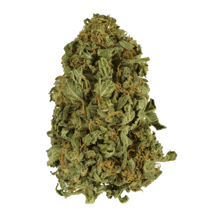 Apricot Kush – $35/oz | BC Weed Edible Canada Apricot Kush – $35/oz | BC Weed Edible Canada