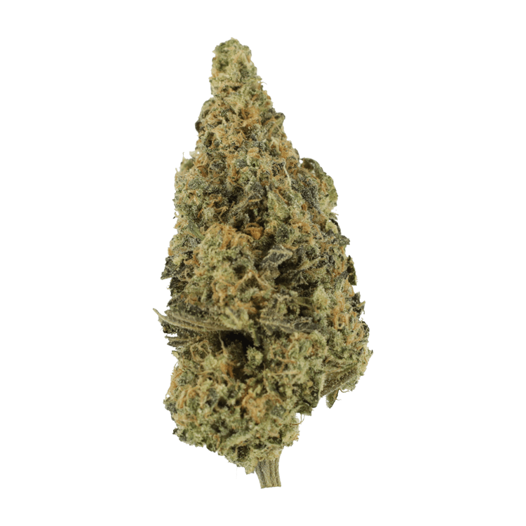 Lava Fuel | BC Weed Edible Canada Lava Fuel | BC Weed Edible Canada