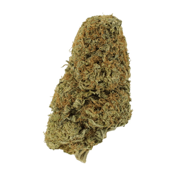 Sugar Pine | BC Weed Edible Canada Sugar Pine | BC Weed Edible Canada