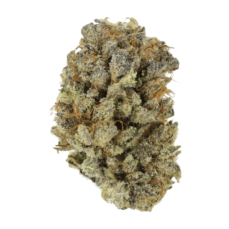 Mimosa Punch | BC Weed Edible Canada Mimosa Punch | BC Weed Edible Canada