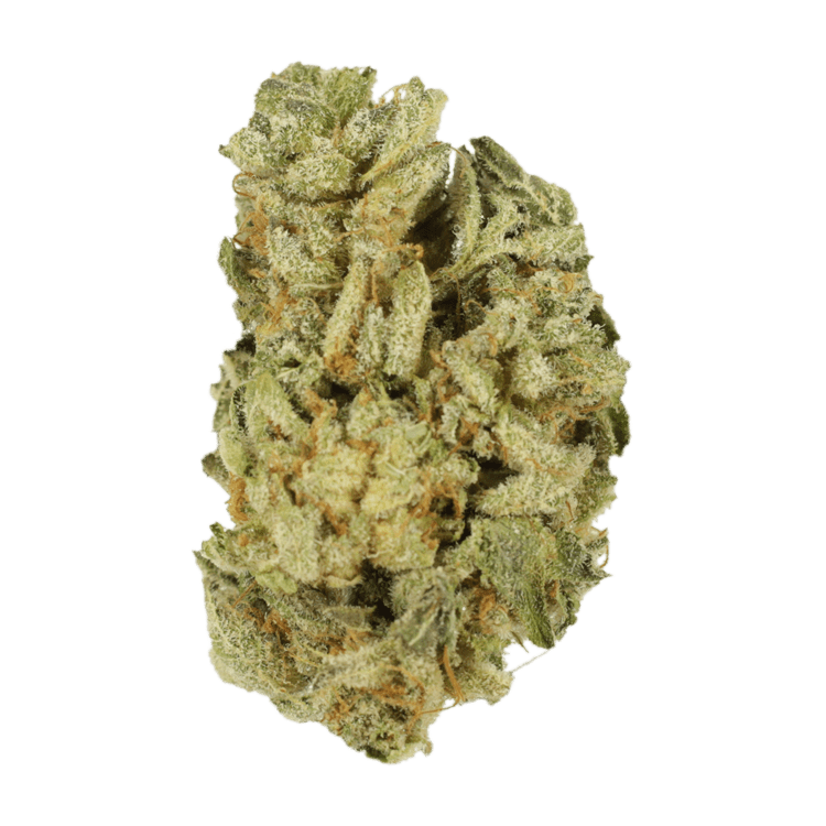 Mimosa Punch | BC Weed Edible Canada Mimosa Punch | BC Weed Edible Canada