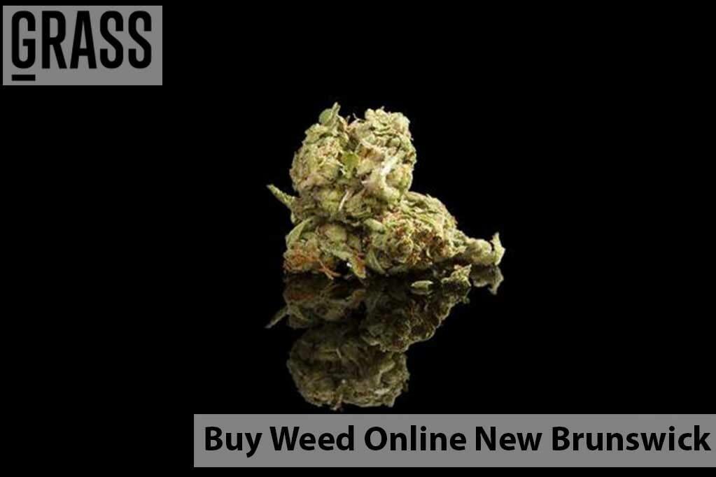 Buy edibles online New Brunswick