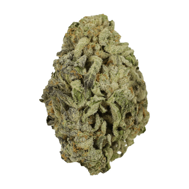 Oreoz | BC Weed Edible Canada Oreoz | BC Weed Edible Canada